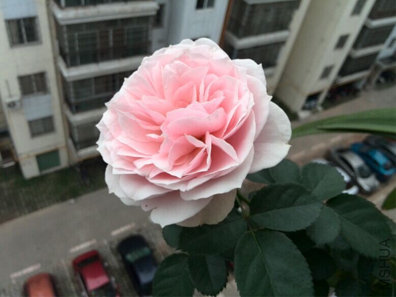 QQͼƬ20150520153901.jpg