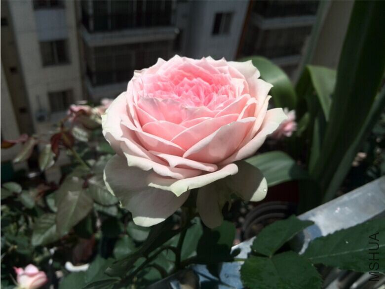 QQͼƬ20150520154410.jpg