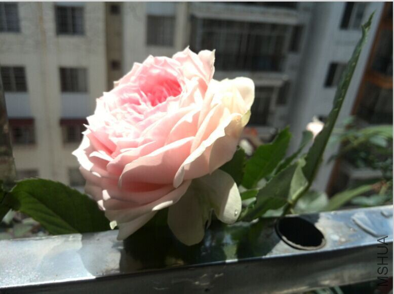 QQͼƬ20150520154356.jpg