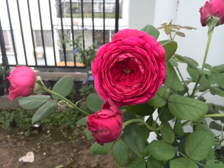 QQͼƬ20150520153845.jpg