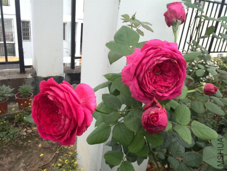 QQͼƬ20150520154151.jpg
