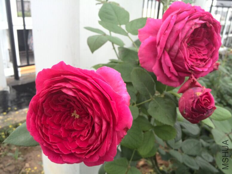 QQͼƬ20150520154206.jpg