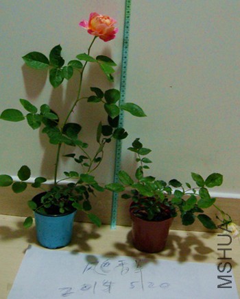 DSC06543.JPG