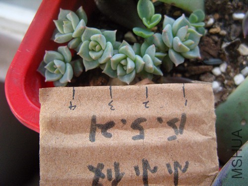 SNV12889_����.jpg