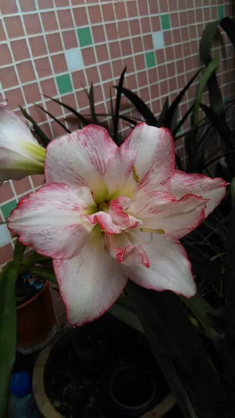 QQͼƬ20150521154833.jpg