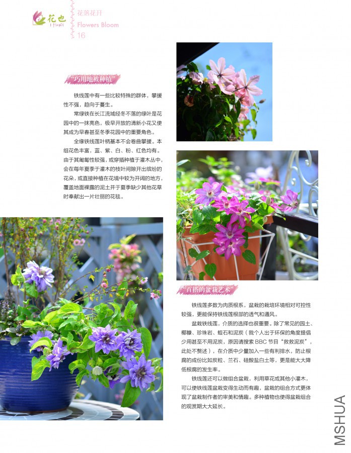 ��Ҳ�ھ���16.jpg