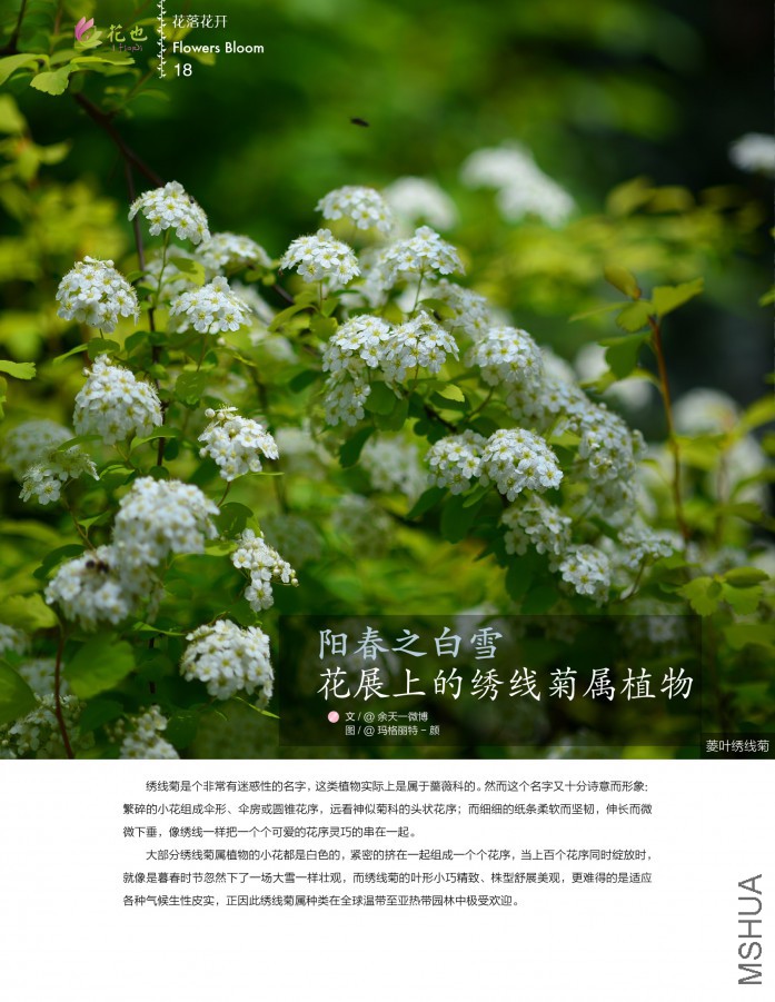 ��Ҳ�ھ���18.jpg