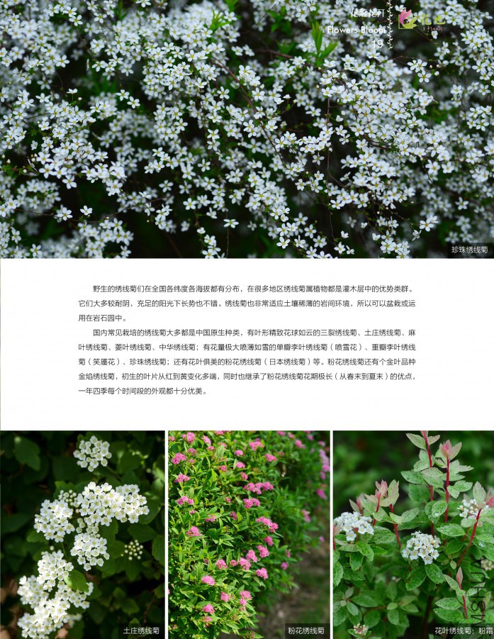 ��Ҳ�ھ���19.jpg