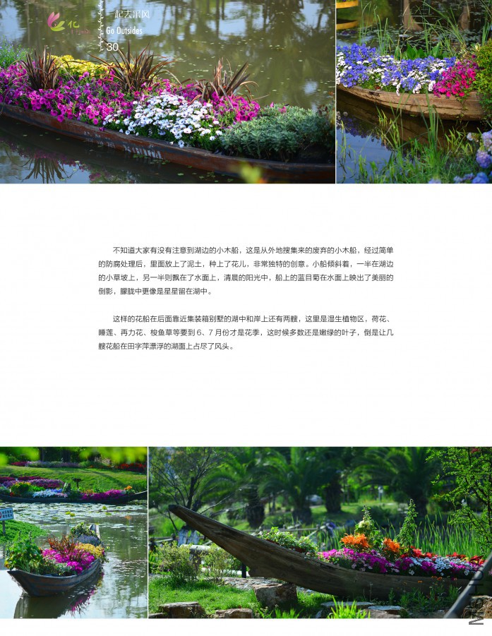 ��Ҳ�ھ���30.jpg