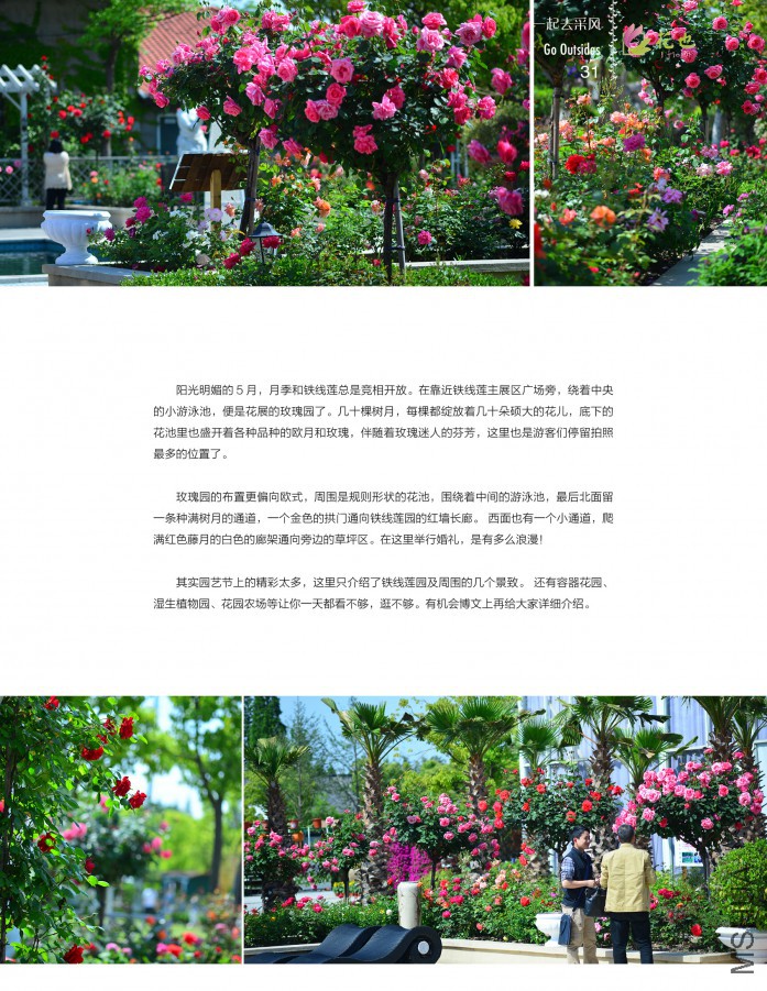 ��Ҳ�ھ���31.jpg