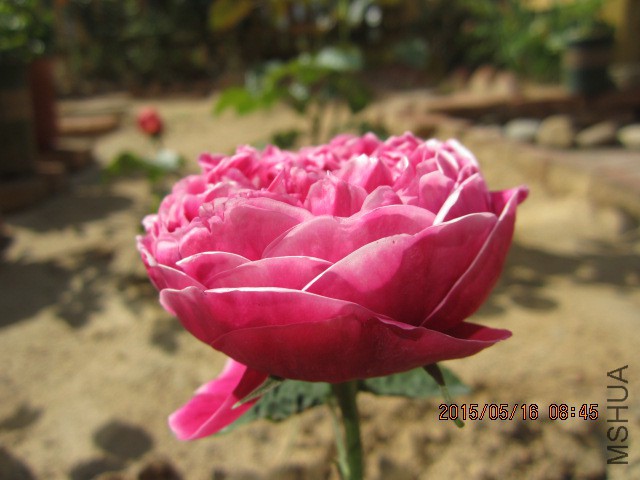 IMG_8883.JPG