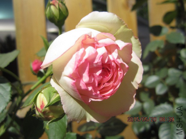 IMG_8997.JPG