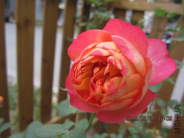 IMG_9079.JPG