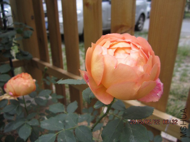 IMG_9119.JPG