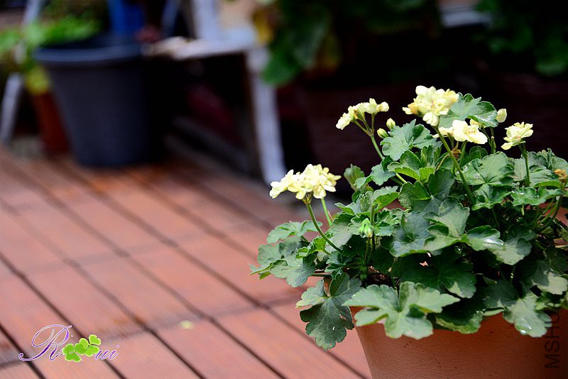 DSC_5627_����.jpg