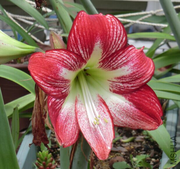 QQͼƬ20150517125131.jpg