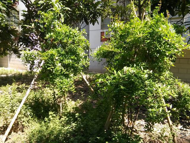 IMG_20150521_092056.jpg