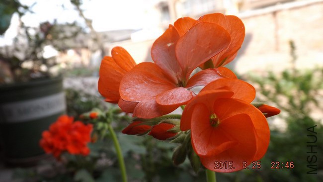 DSCF2566.jpg
