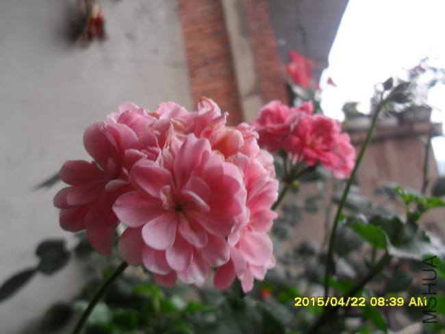 SDC11634.jpg