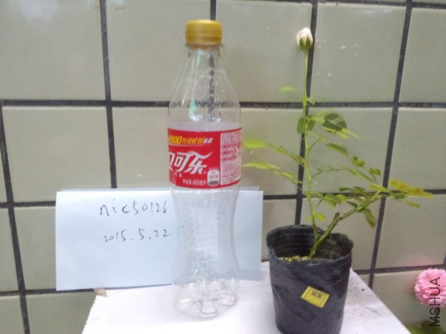 �Ǳ�.jpg