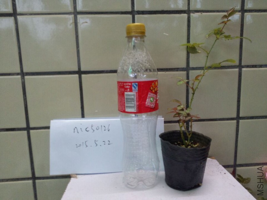 �պ�.jpg