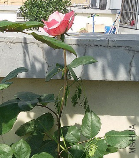 20150425_101222.jpg