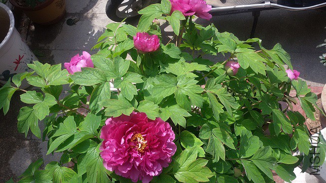 20150328_111300.jpg