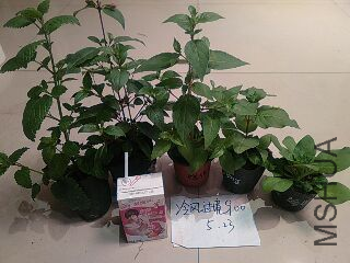 UC_Photo_101.jpg