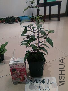 UC_Photo_102.jpg