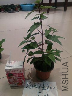 UC_Photo_103.jpg