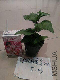 UC_Photo_104.jpg
