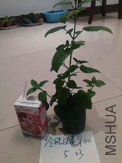UC_Photo_106.jpg