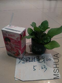 UC_Photo_107.jpg
