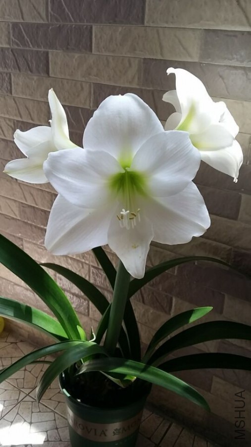 QQͼƬ20150524083133.jpg