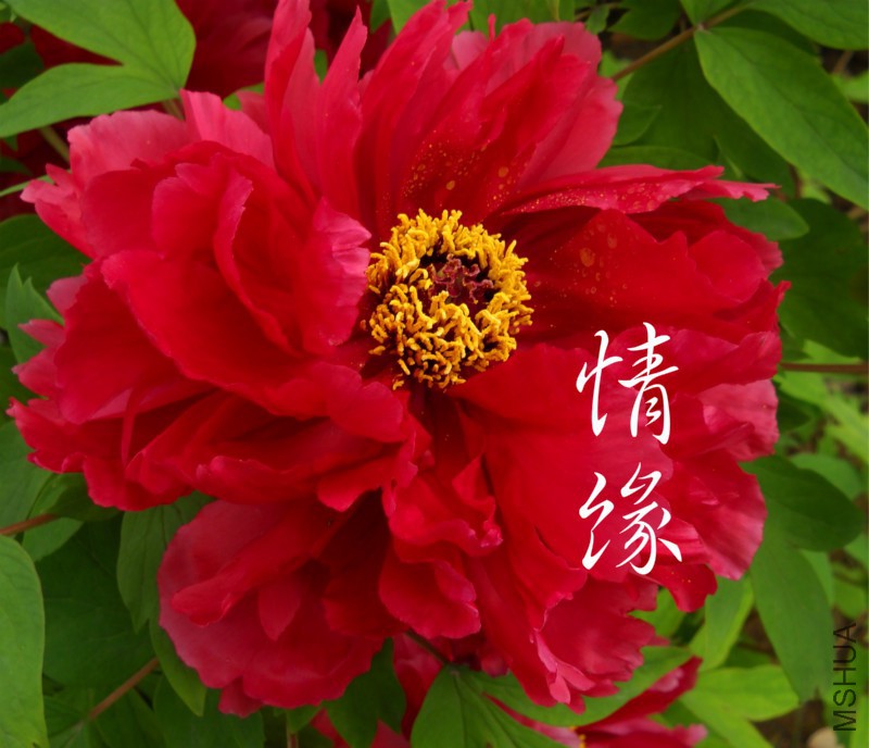 ��Ƭ 158_meitu_7.jpg