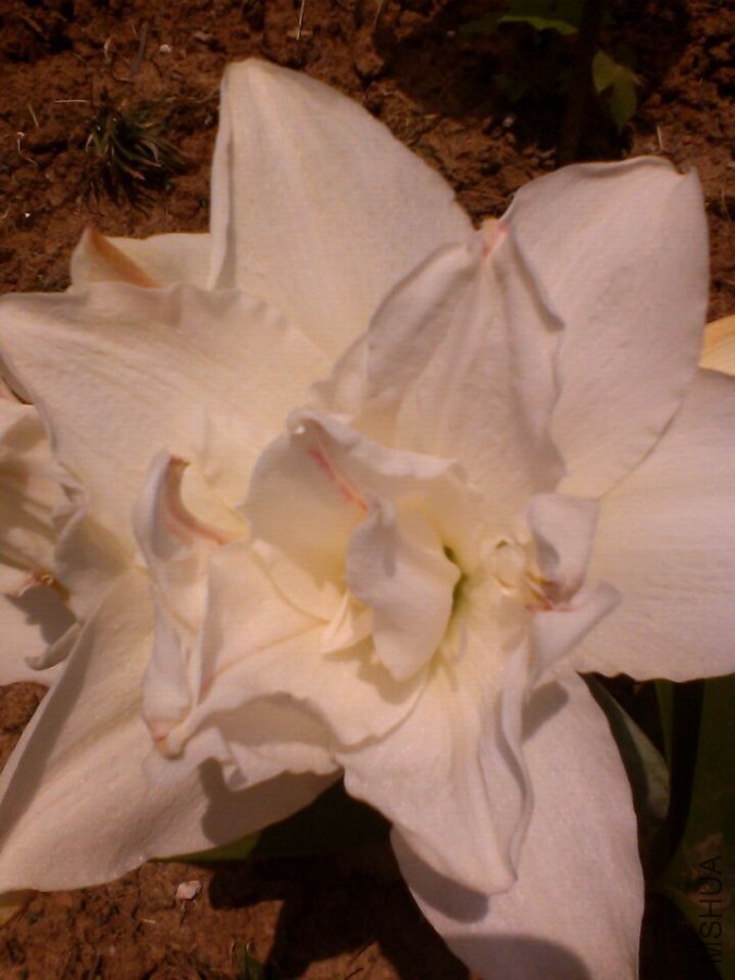 QQͼƬ20150524203544.jpg