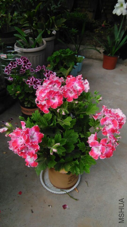 ������������