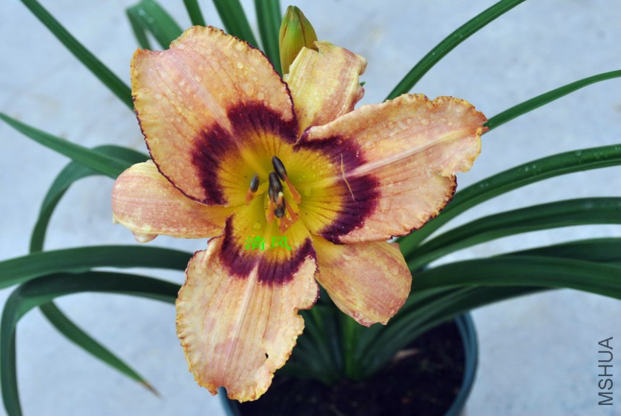 ����ʵ� (1).jpg