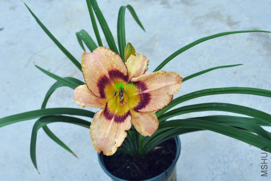 ����ʵ� (2).jpg