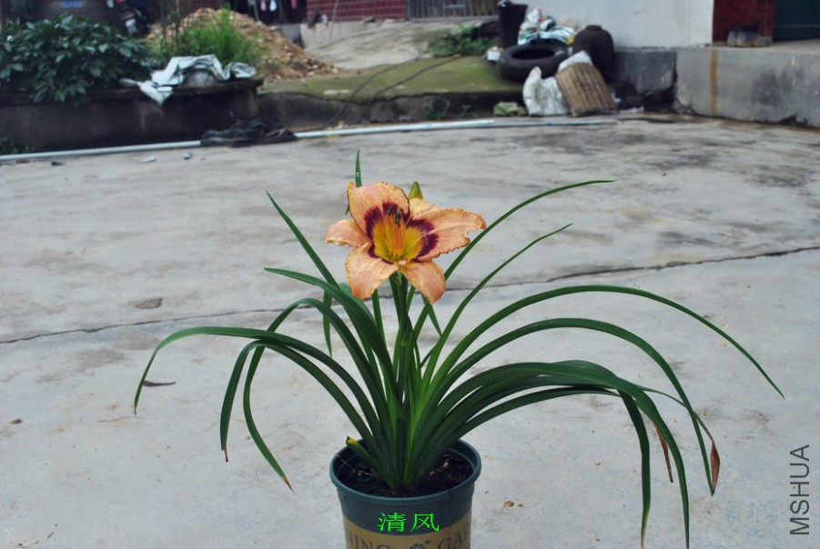 ����ʵ� (3).jpg