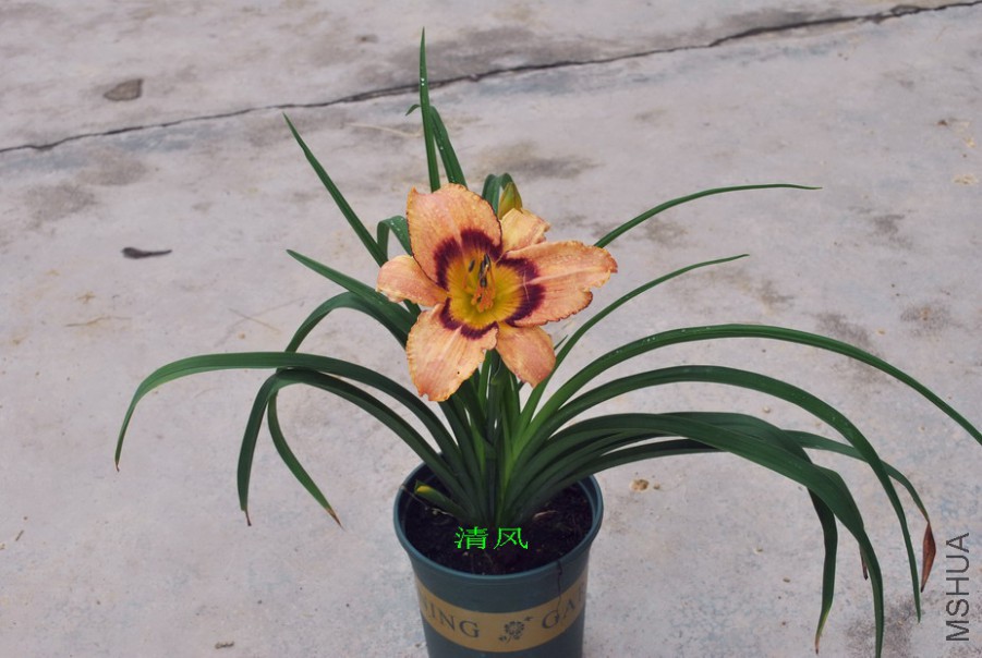 ����ʵ� (4).jpg