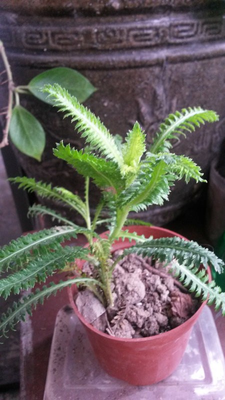 20150525_070915.jpg