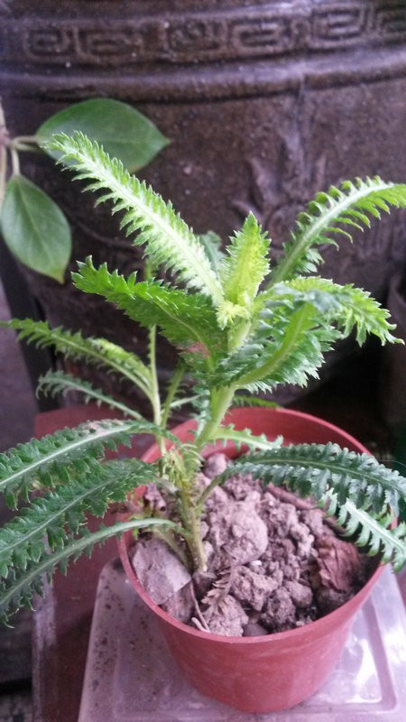 20150525_070912.jpg