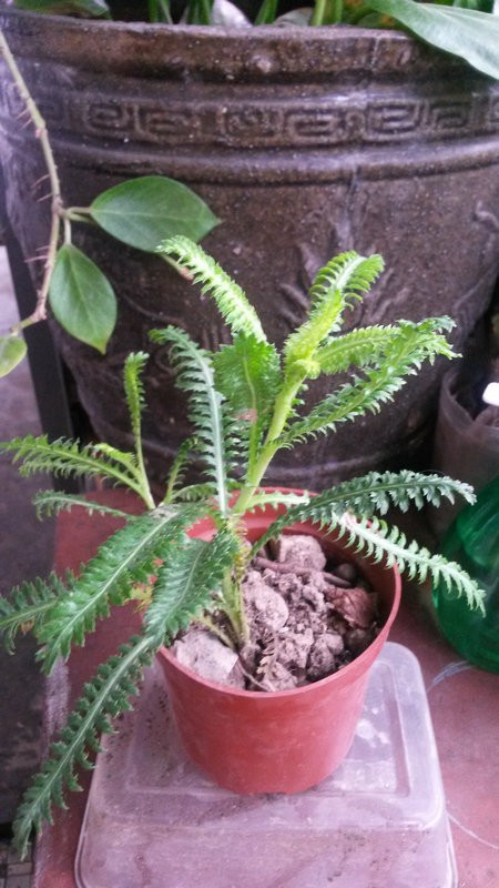 20150525_070858.jpg