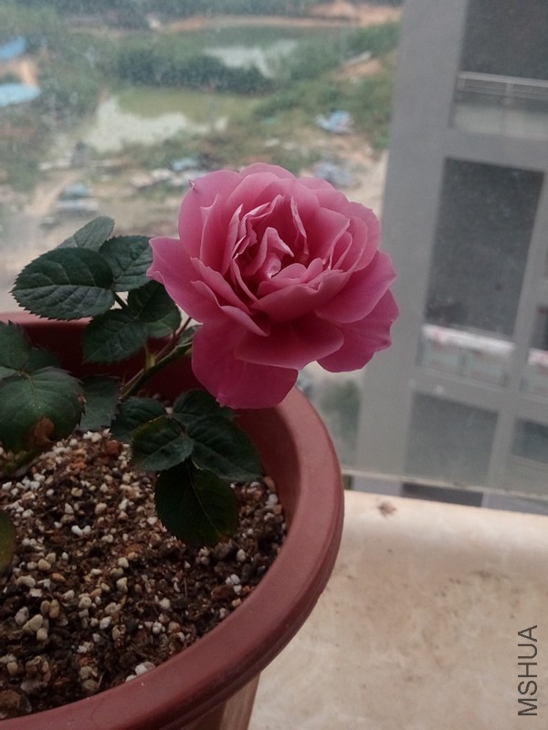 IMG_20150407_111719.jpg