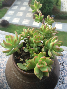 �������һ��