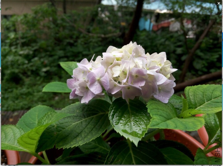 QQͼƬ20150525201622.jpg