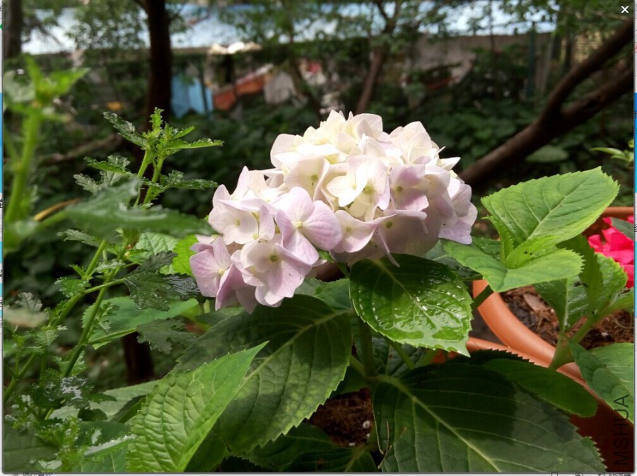 QQͼƬ20150525201630.jpg