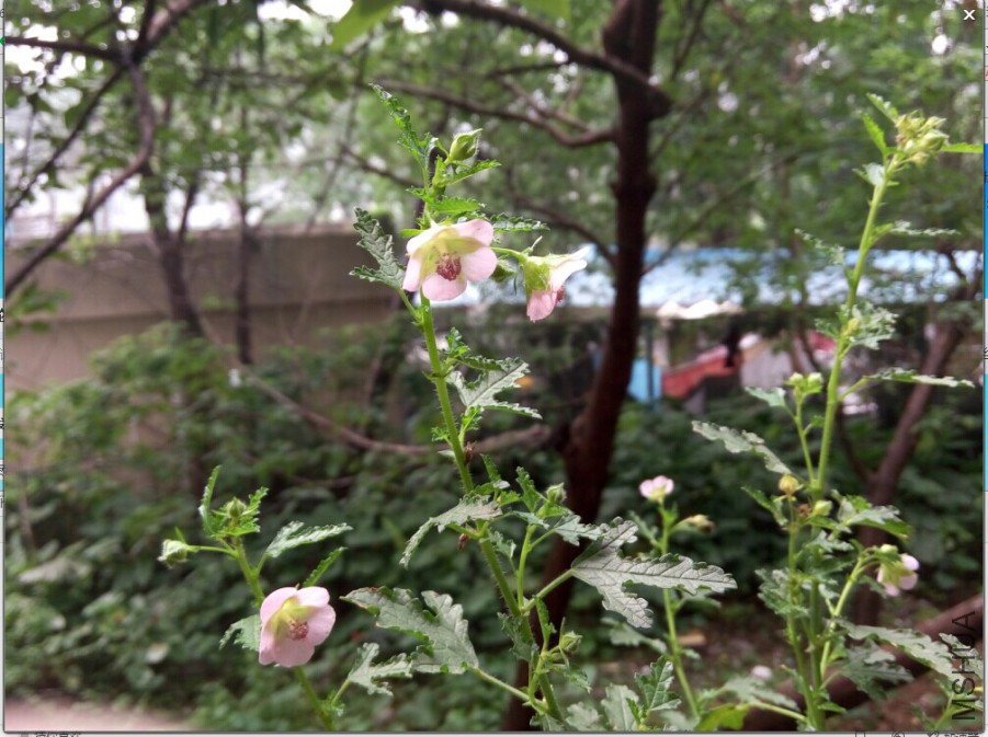 QQͼƬ20150525201627.jpg