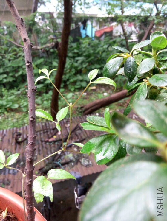 QQͼƬ20150525201634.jpg